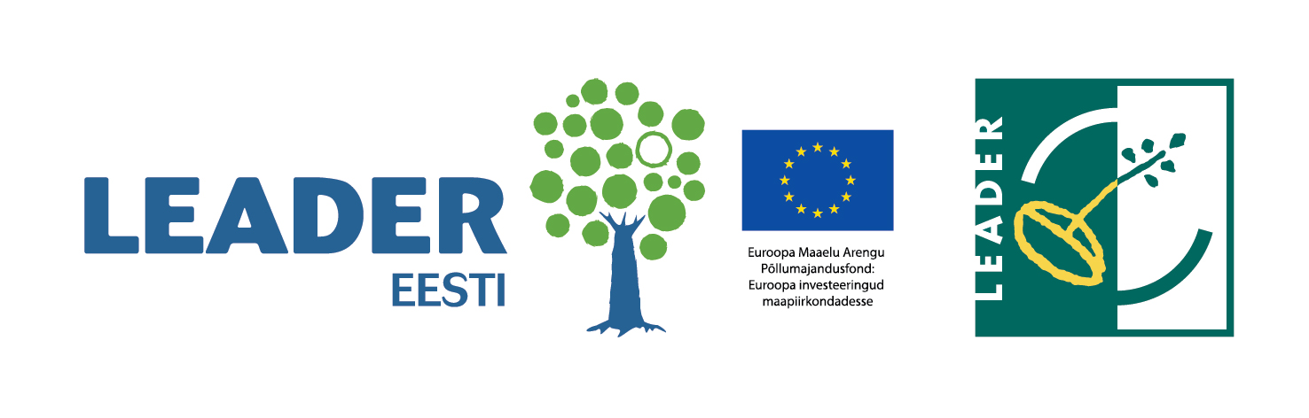 logo-leader-2014-est-horisontaal-varviline