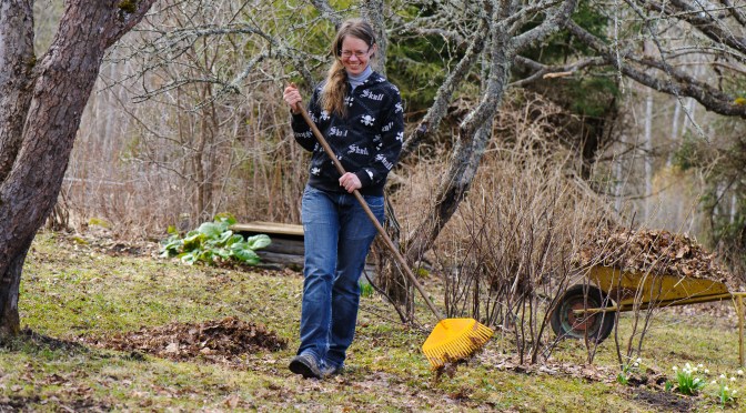 Tule tagutele! Kasevälja Külaselts – mänguväljaku korrastamine
